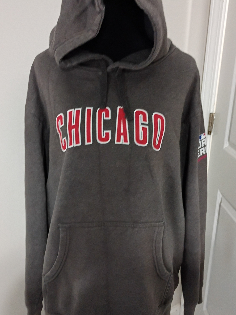 Chicago Graphic Zip-Up Hoodie - Gray with Red Logo